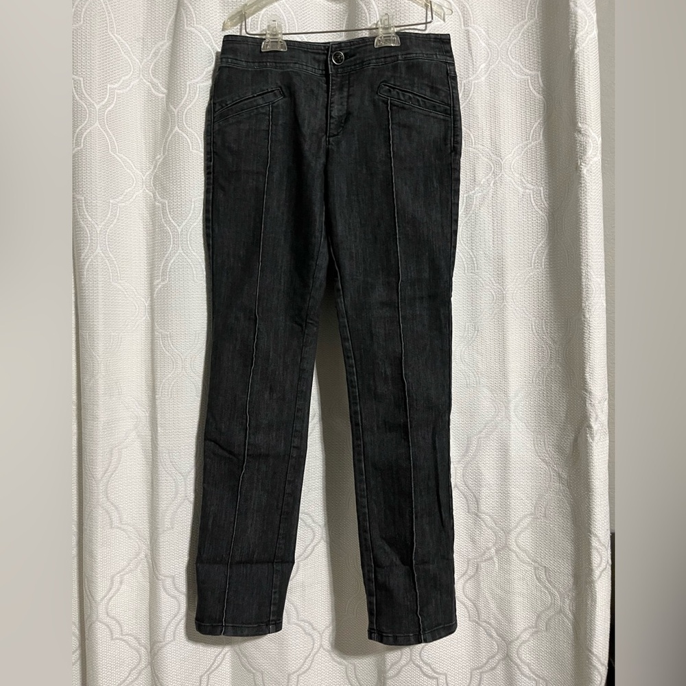 Daughters of the Liberation Dark Gray Slim Straight Pleated Pants ~ Size 28